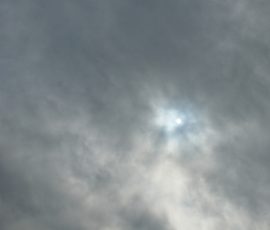 DSC_2629_DxO
